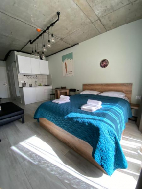 Your Cozy Apartment in New Gudauri, Loft 2 #432